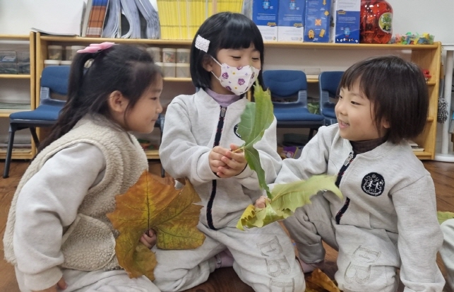 가을 나뭇잎을 관찰해요